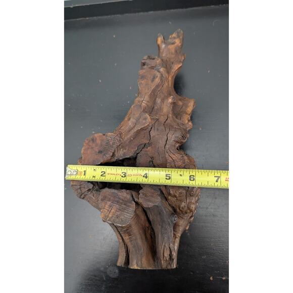 Burl Wood Hardwood From Arizona desert Manzanita Large Pen Sculpture Section - Picture 8 of 8